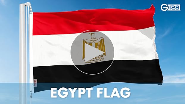 G egypt egyptian flag x ft liteweave pro series printed d polyester country flag indooroutdoor vibrant colors brass grommets thicker and more durable than d d polyester