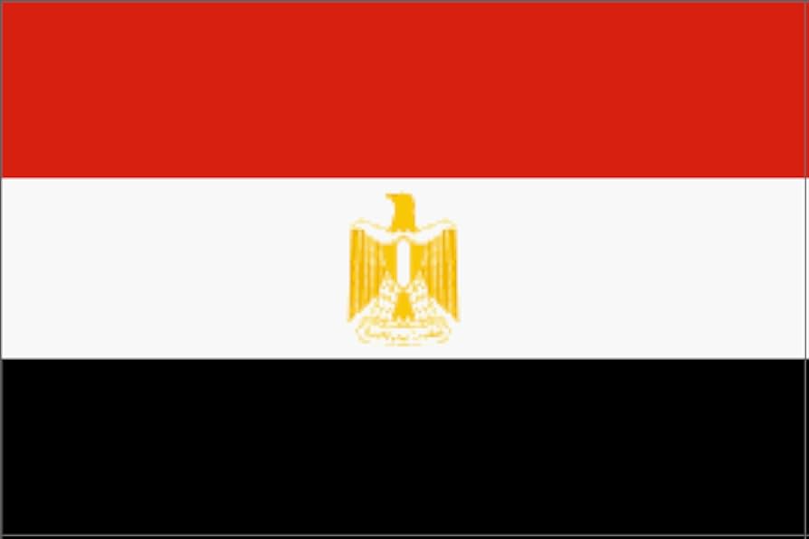 Egypt flag polyester ft x ft outdoor flags patio lawn garden