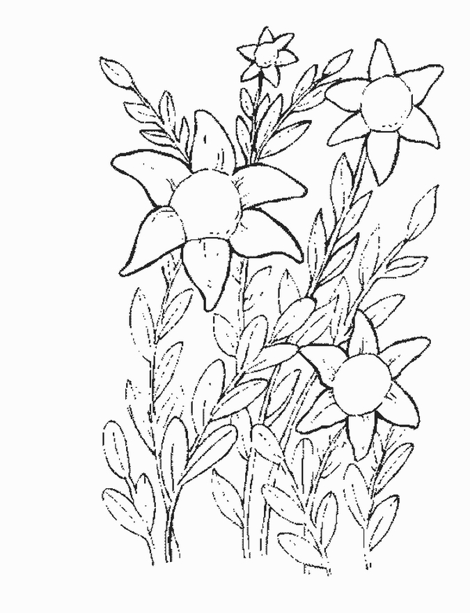 Best flowers coloring pages for kids