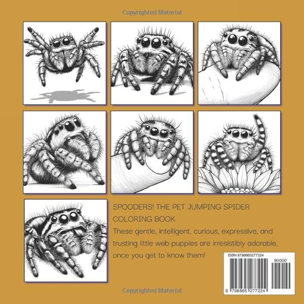 Spooders the pet jumping spider coloring book boutsianis wendy books