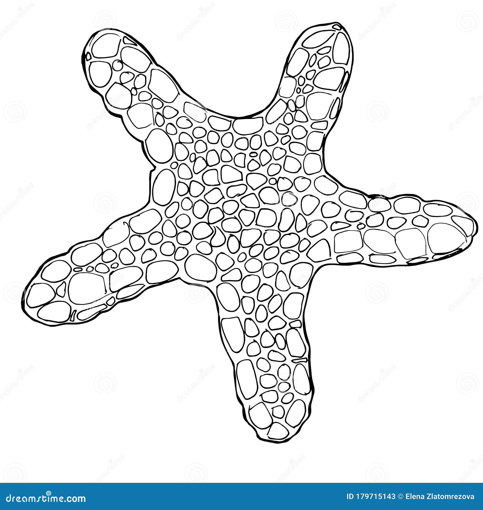 Sea star coloring book for children and adults stock illustration