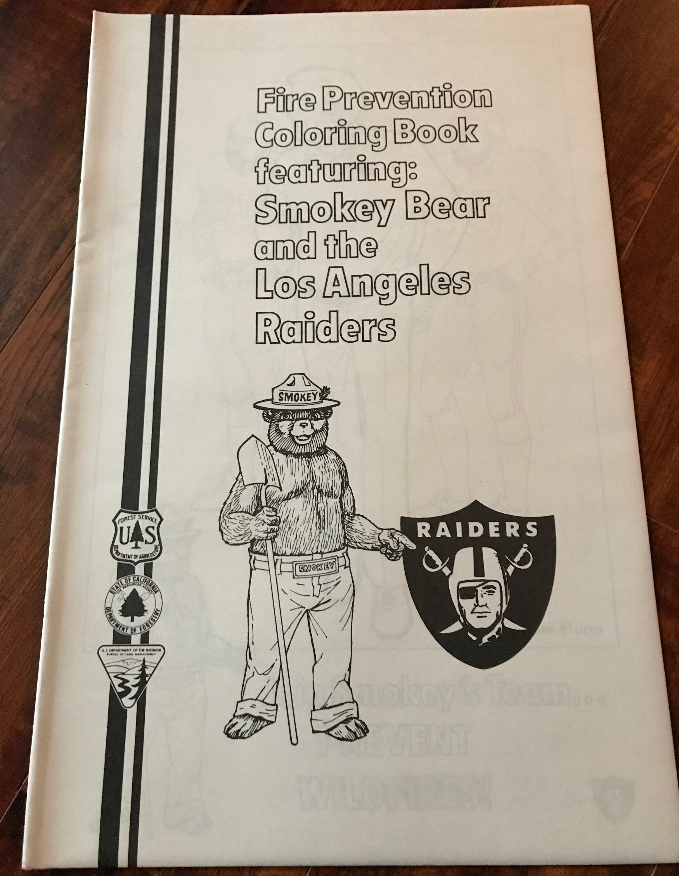 Smokey bear coloring book