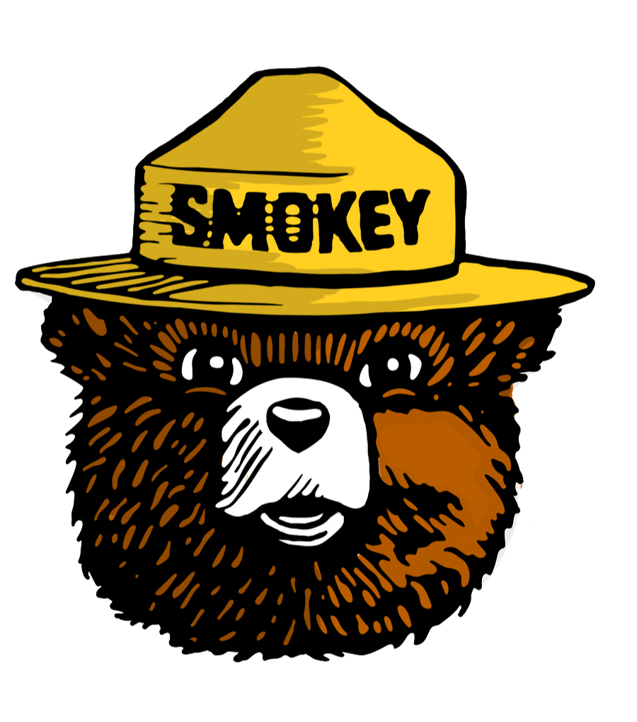 Smokey bear educational resources