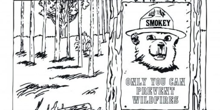 Kids invited to enter maine smokey bear coloring contest