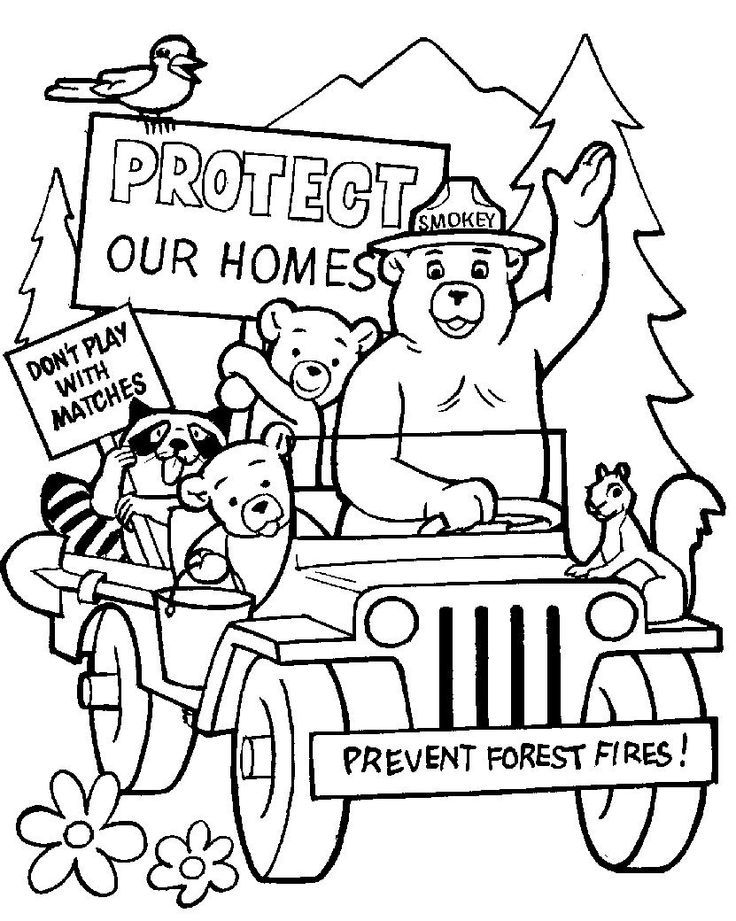 Smokey the bear and friends coloring page bear coloring pages smokey the bears coloring pages