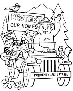 Smokey bear woodsy owl ideas smokey the bears smokey bear