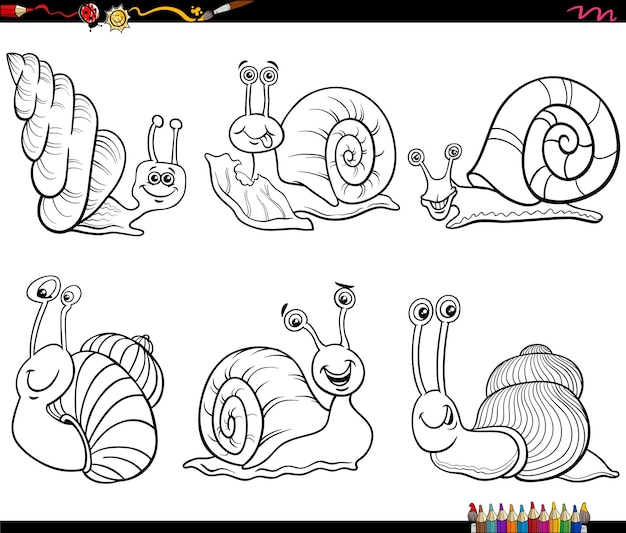 Snail coloring page images