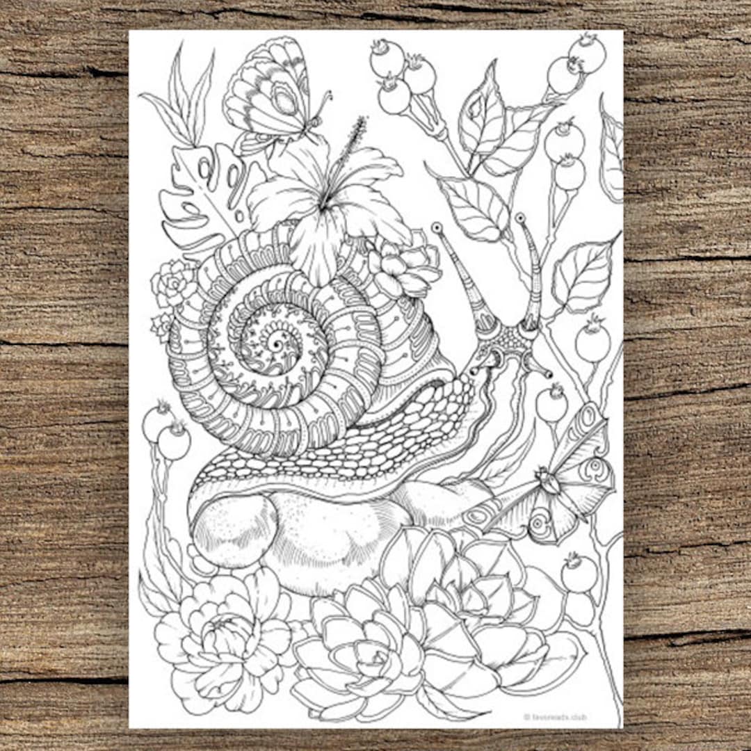 Snail printable adult coloring page from favoreads coloring book pages for adults and kids coloring sheet coloring design