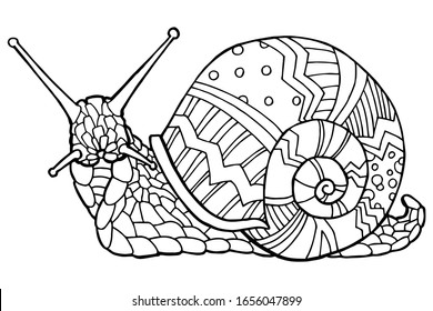 Vector illustration hand drawing snail coloring stock vector royalty free