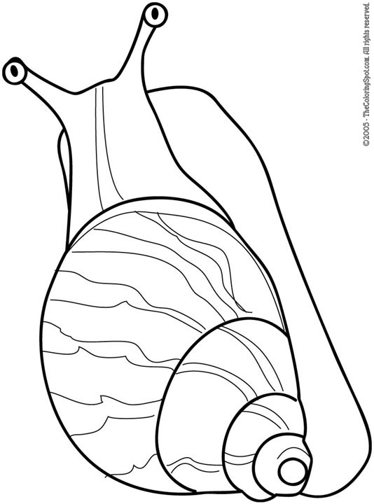 Snail audio stories for kids free coloring pages colouring printables