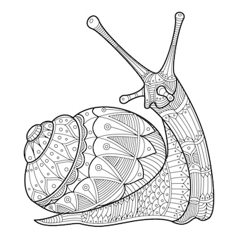 Snail coloring page images