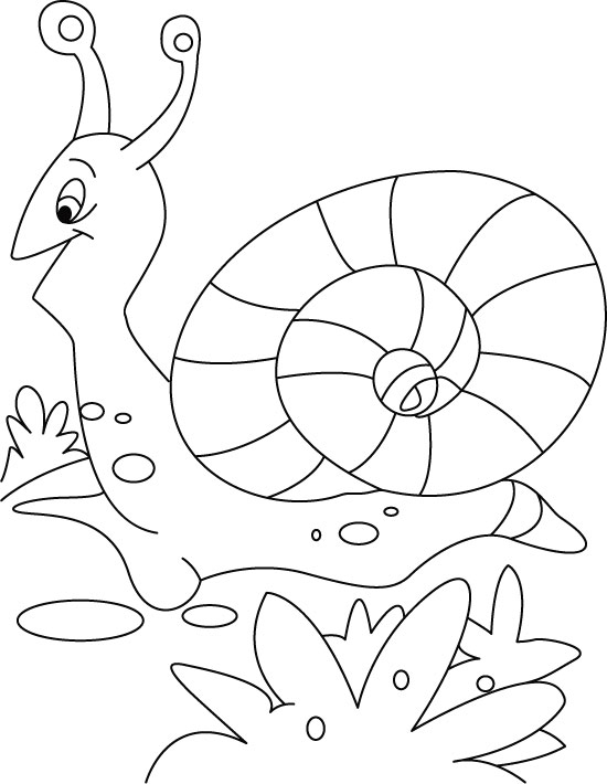 Snail leaving for cocktail coloring pages download free snail leaving for cocktail coloring pages for kids best coloring pages