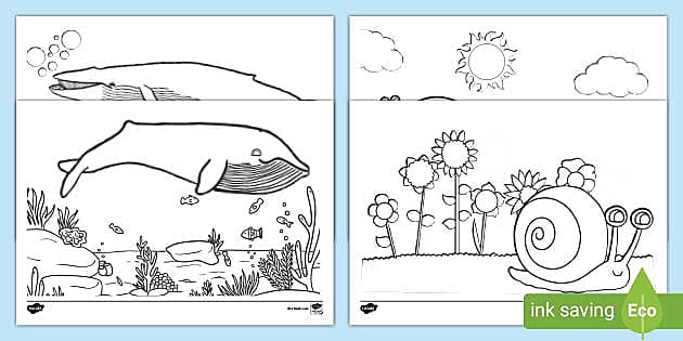 Snail and whale templates ks colouring worksheets