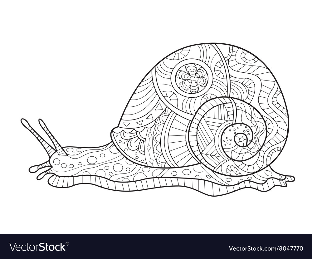 Snail coloring book for adults royalty free vector image