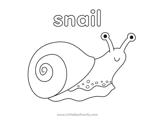 Snail coloring page