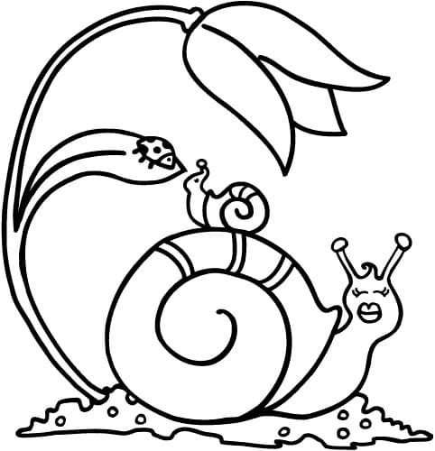 Mother and baby snail coloring page