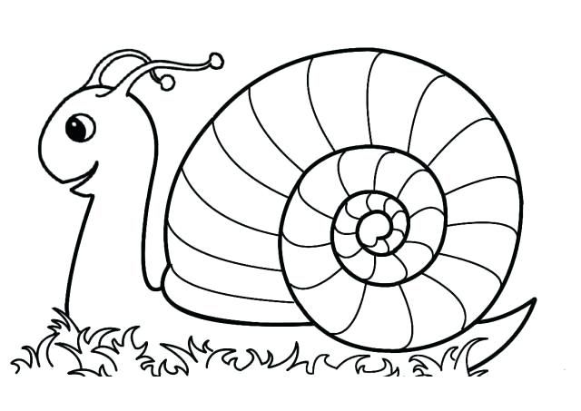 Printable coloring pages coloring pages heart coloring pages insect coloring pages