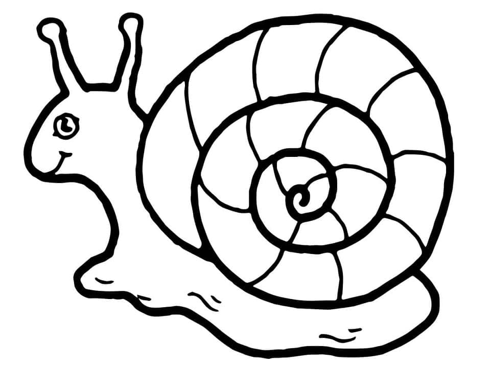 A happy snail coloring page