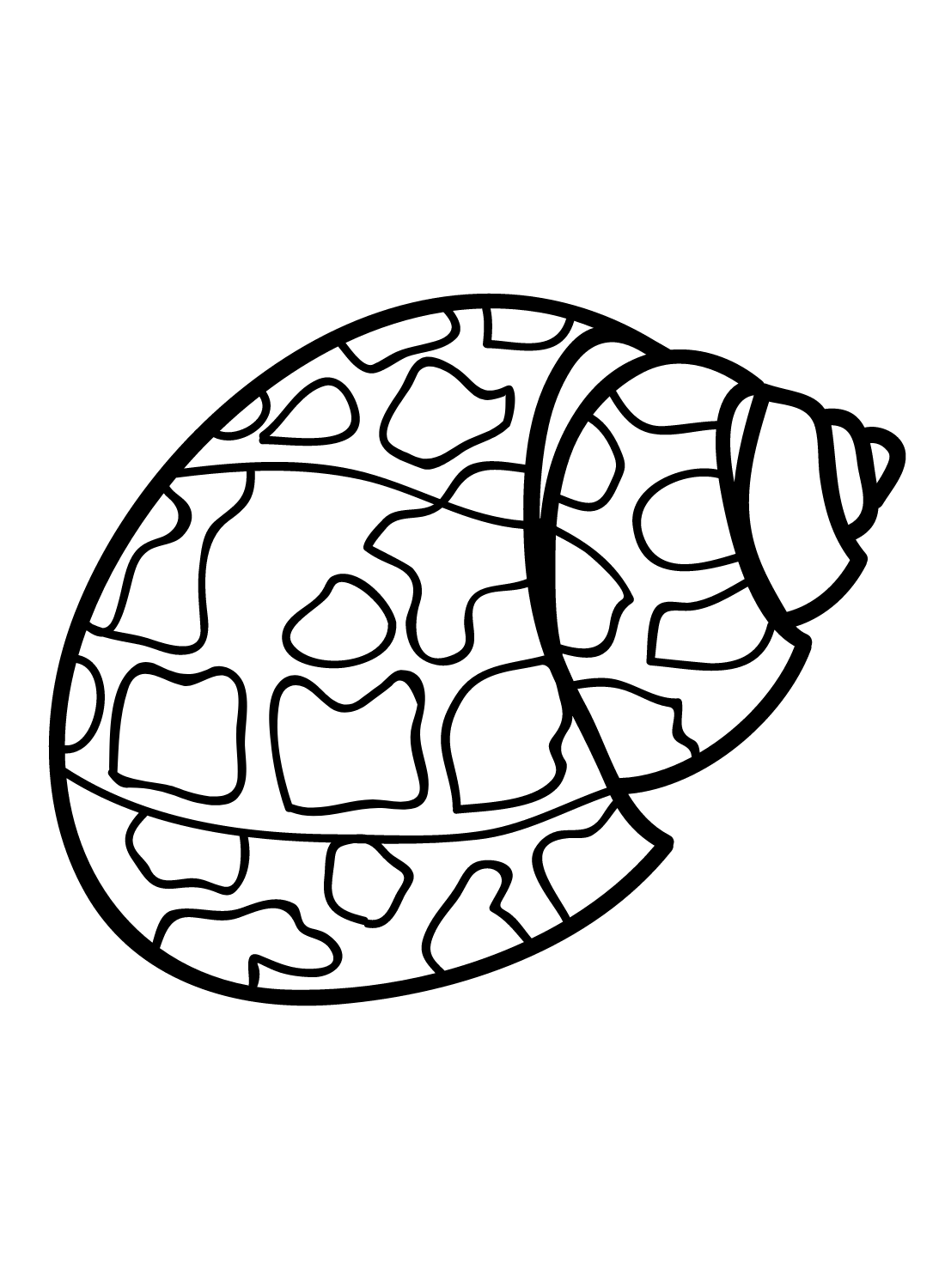 Sea snail coloring pages printable for free download