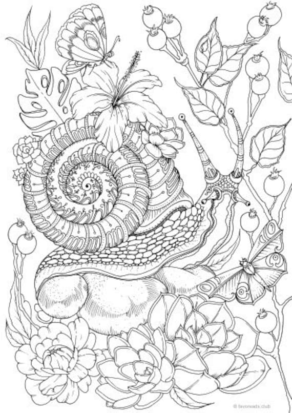 Snail printable adult coloring page from favoreads coloring book pages for adults and kids coloring sheet coloring design