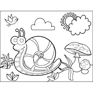 Snail coloring page