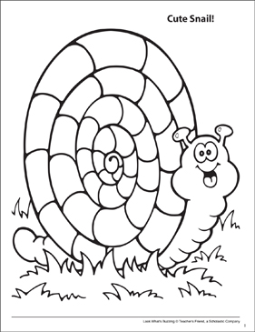 Look whats buzzing coloring page cute snail printable coloring pages