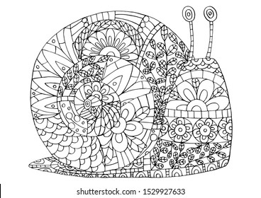 Snail coloring images stock photos d objects vectors