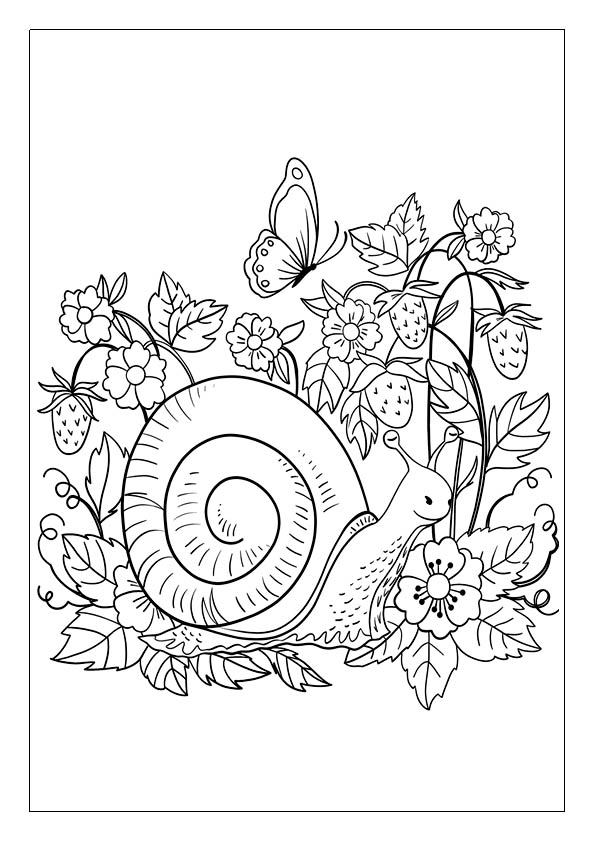 Snail coloring pages printable coloring sheets