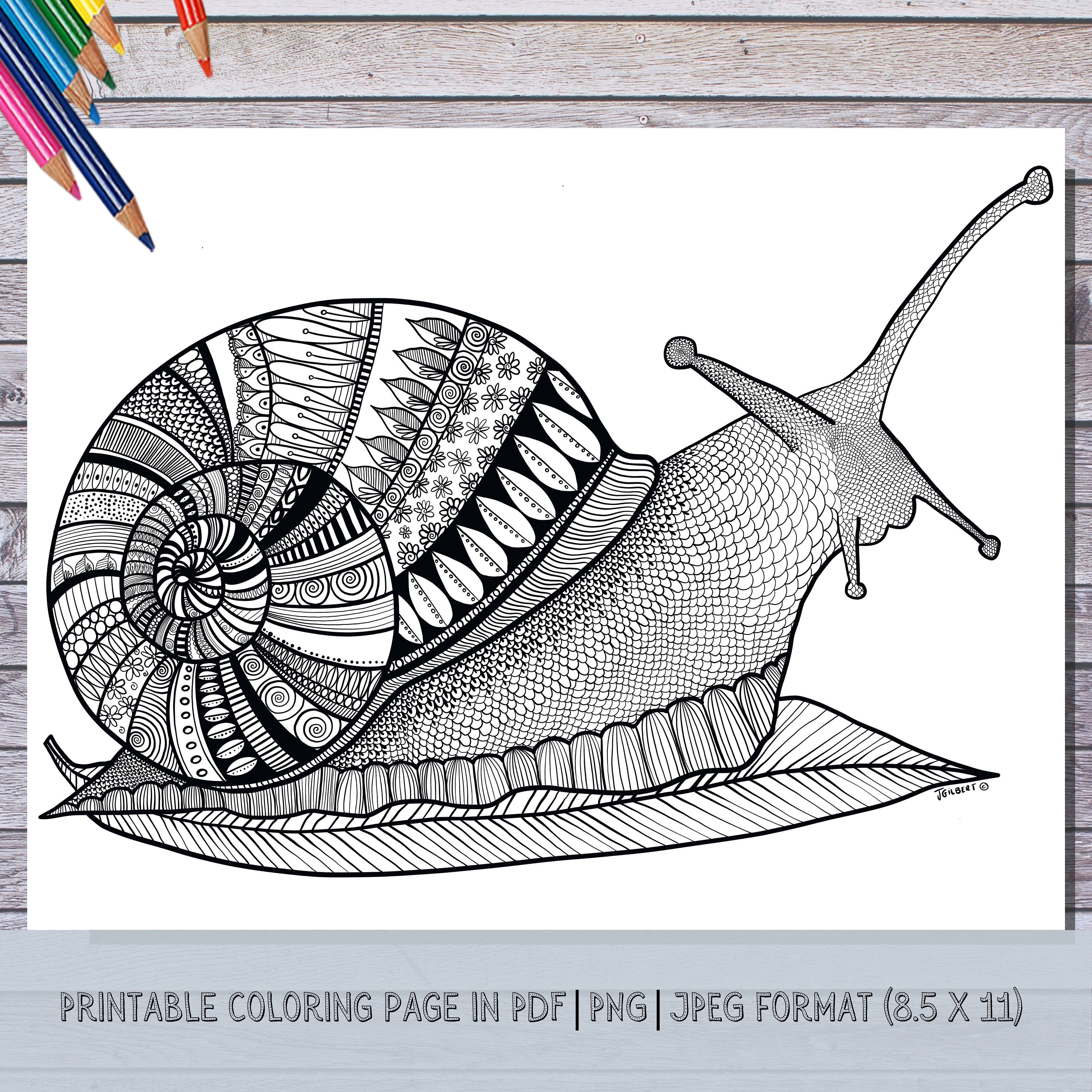 Snail coloring page hand illustrated instant download print color at home zentangle art