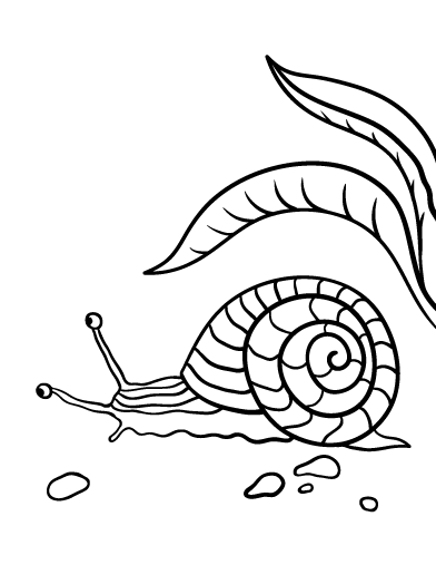 Free snail coloring page