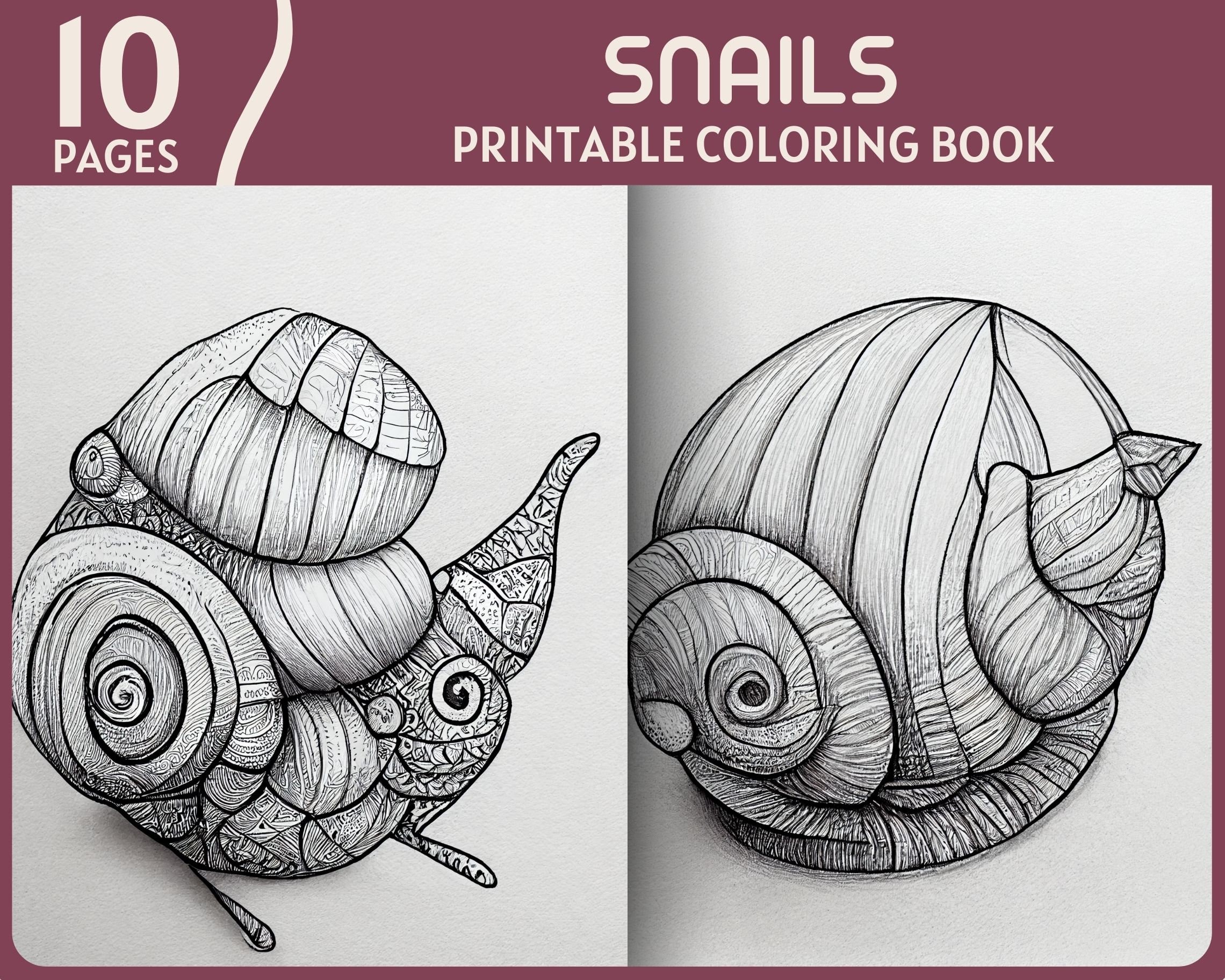 Snails coloring pages snail animal theme printable coloring book