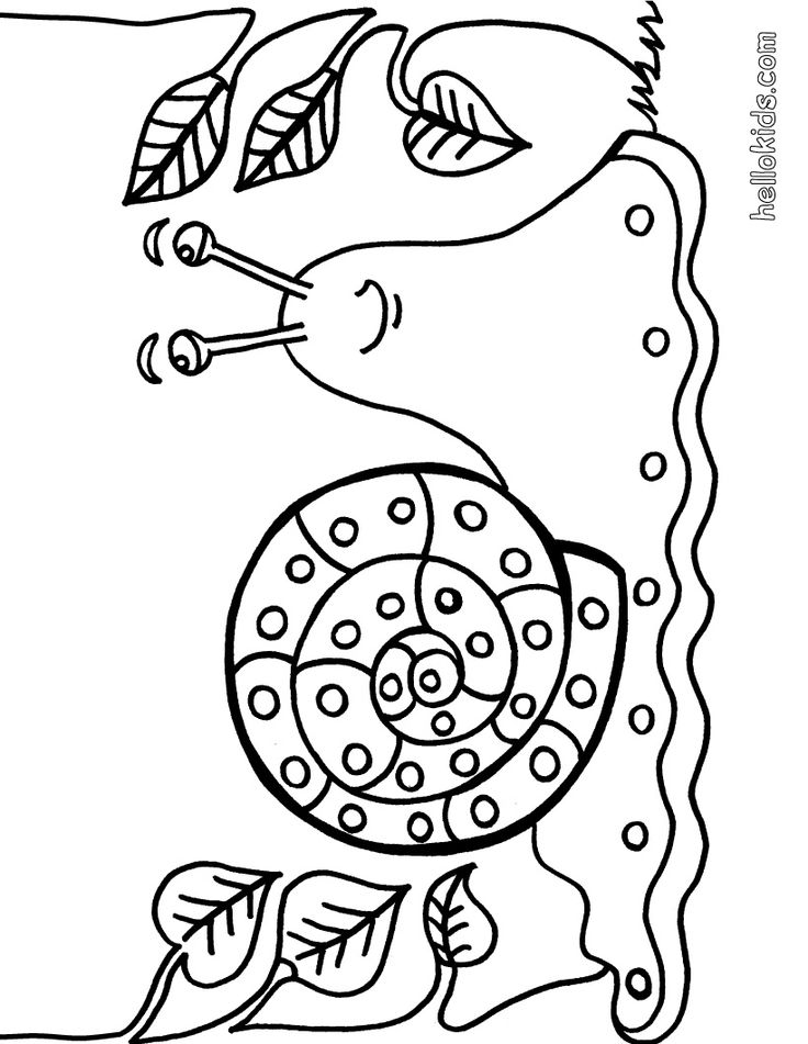 Wild animal coloring pages