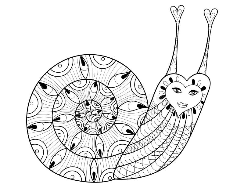 Vector zentangle snail for adult coloring pages art therapy stock vector