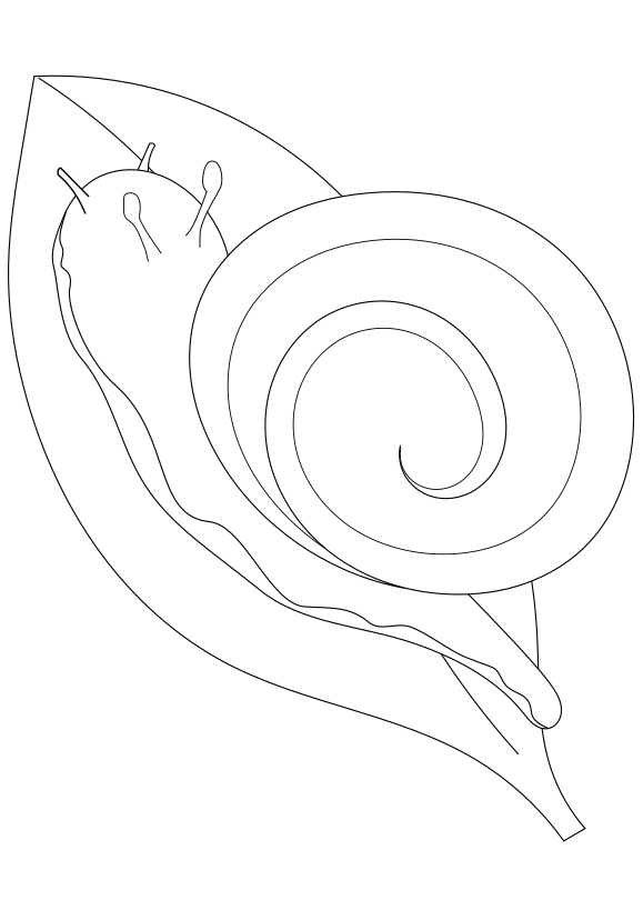 Snail drawing for coloring page free printable nurieworld