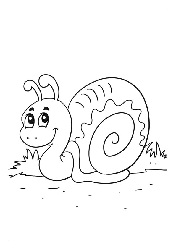 Snail coloring pages printable coloring sheets