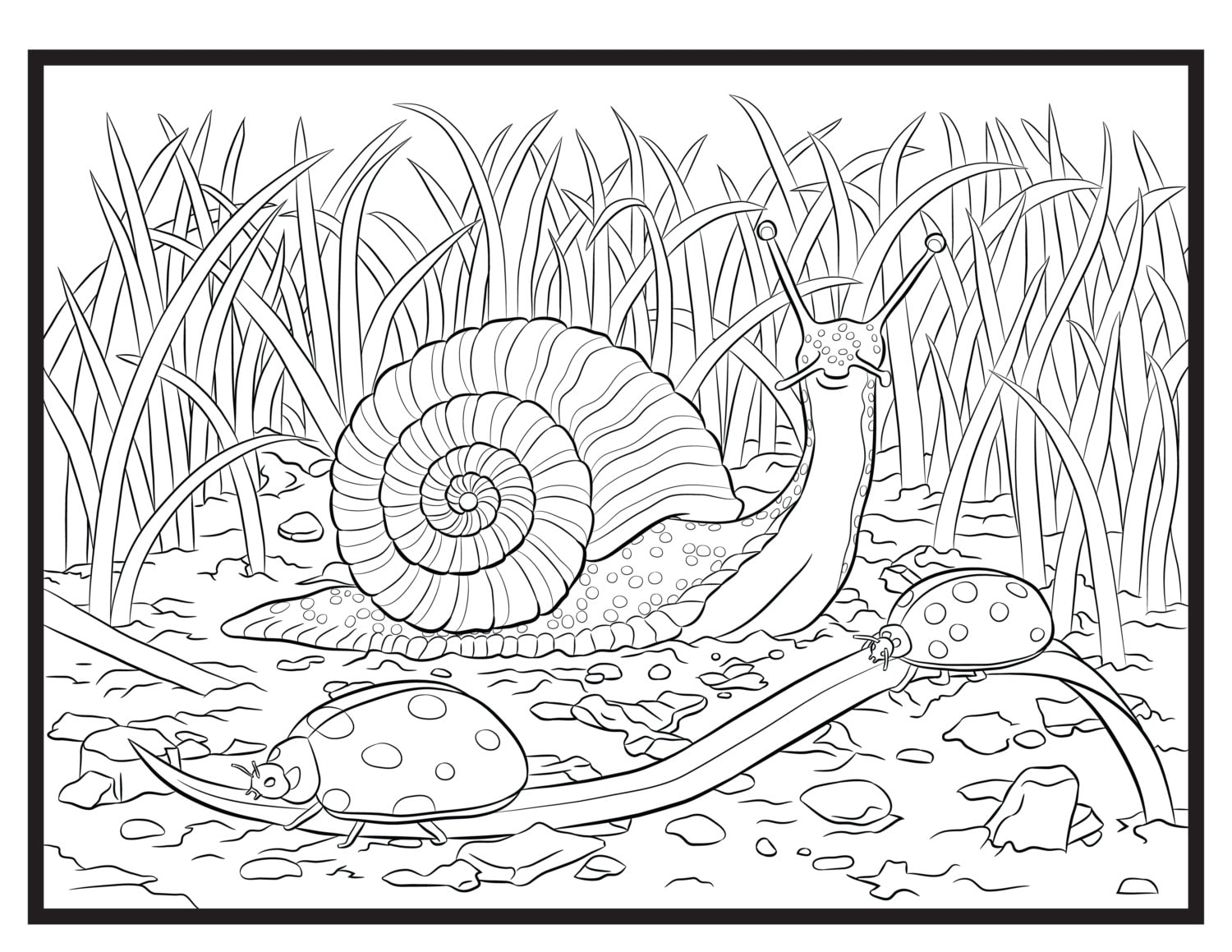 Snail and lady single coloring page instant download