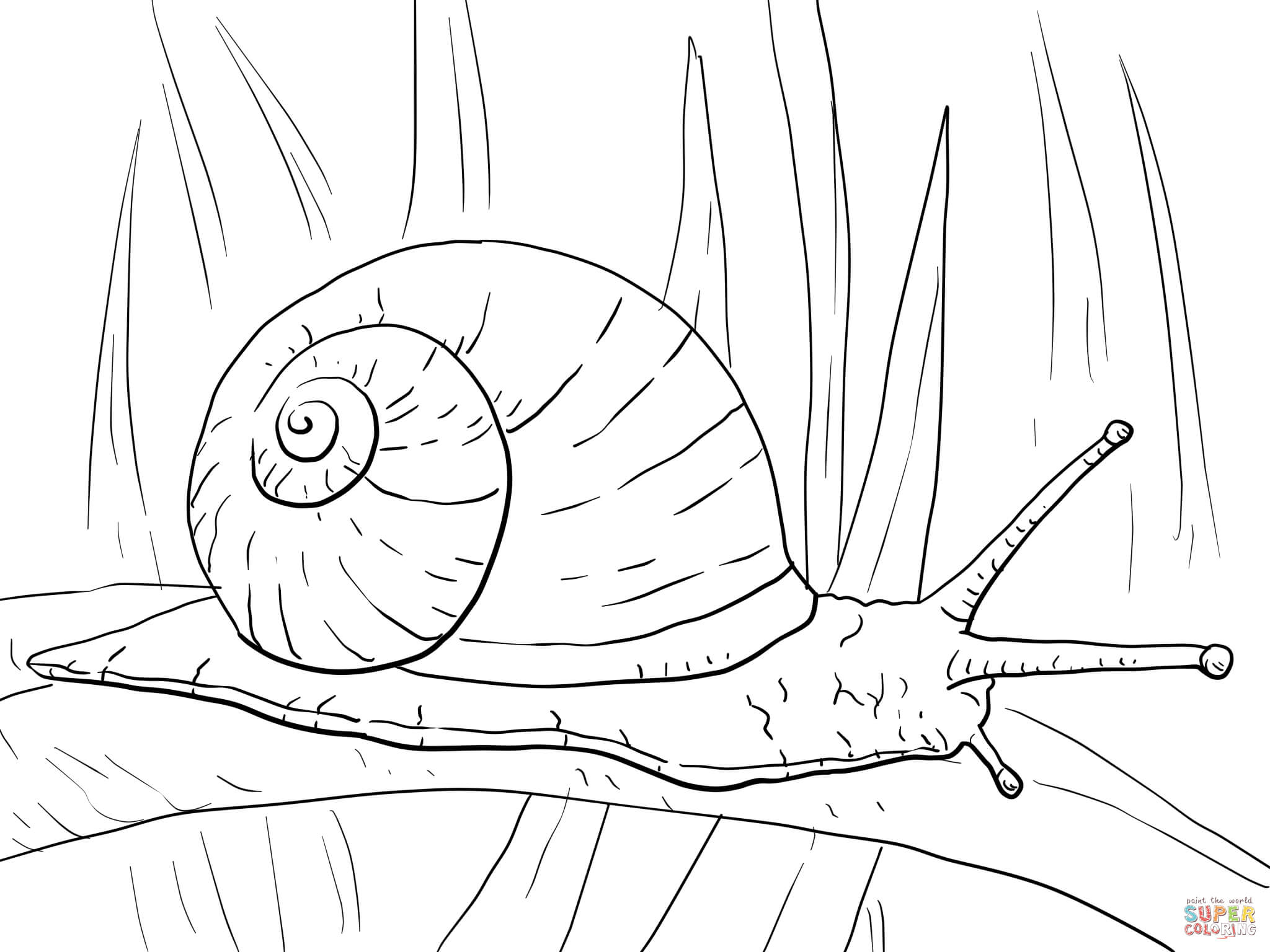 Garden snail coloring page free printable coloring pages