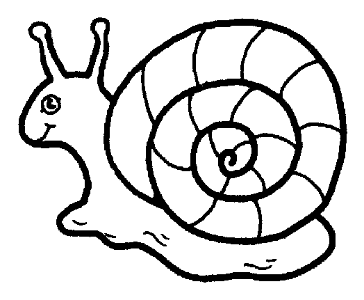 Snail coloring page