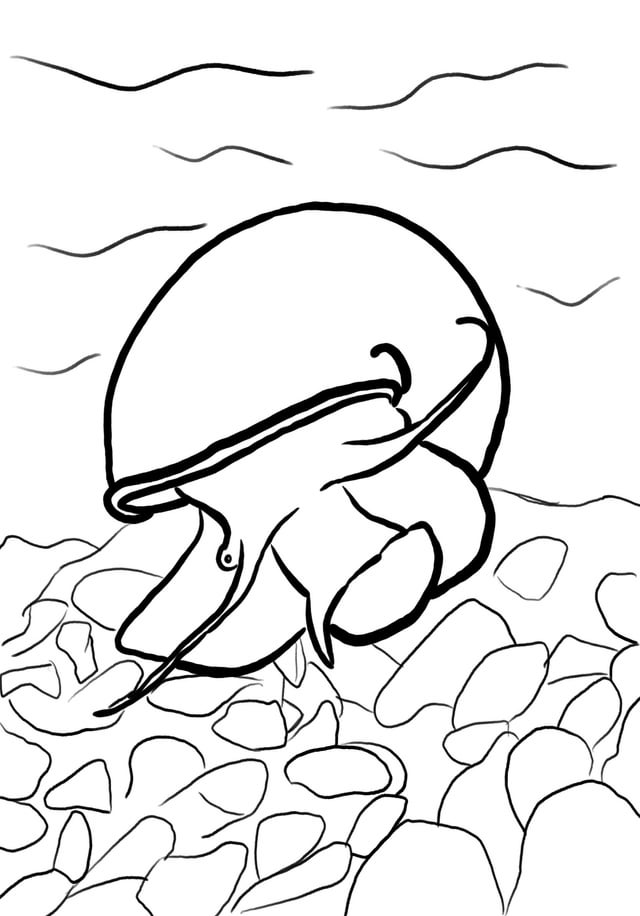 Hi everybody im releasing my mystery snail coloring book as well as a lot of aquarium related art and educational sheets for free all art by me link in the ment and