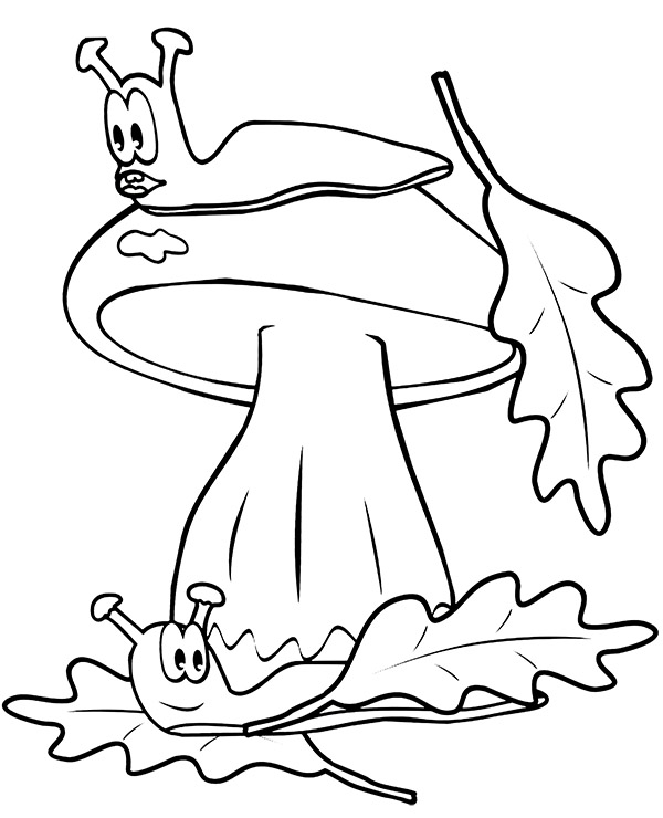 Coloring pages snails mushroom leaves original coloring sheet