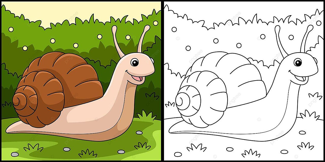 Snail animal coloring page colored illustration coloring book small snail vector animal drawing book drawing rat drawing png and vector with transparent background for free download