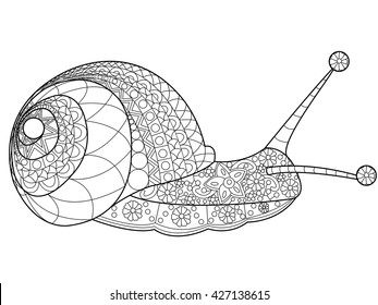 Snail coloring page images stock photos d objects vectors