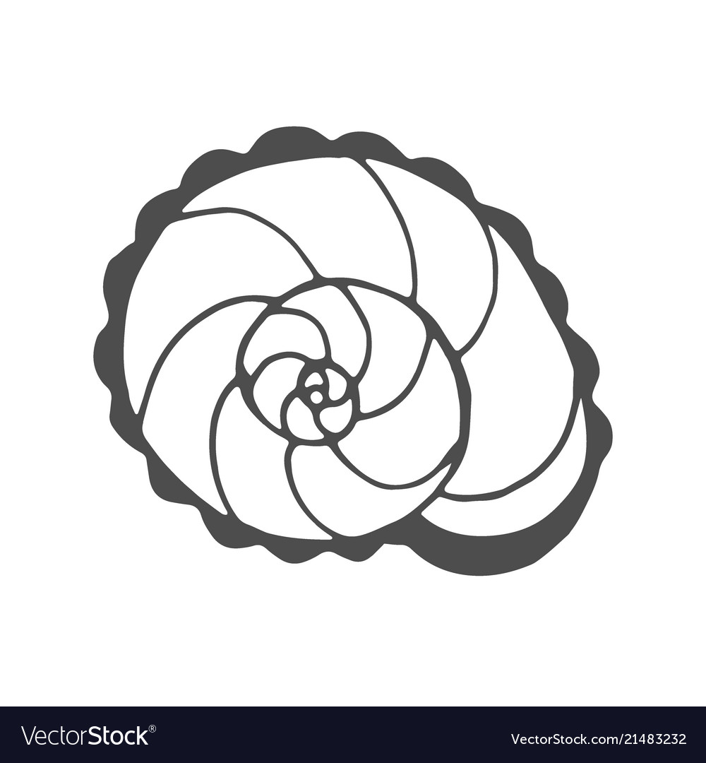 Snail coloring page royalty free vector image