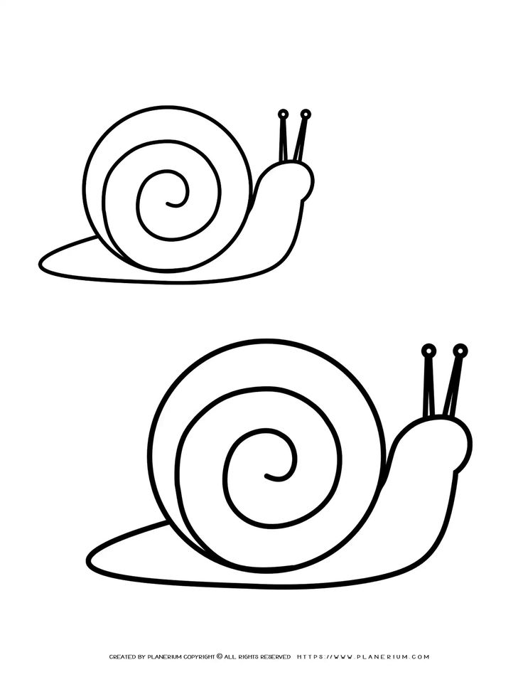 Snails