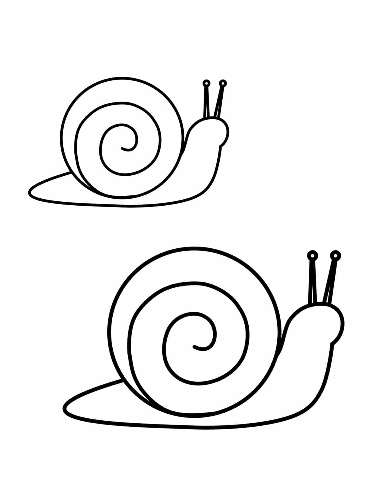 Snails