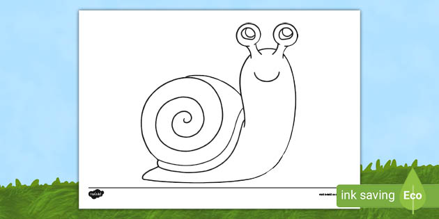 Snail template colouring sheet teacher made