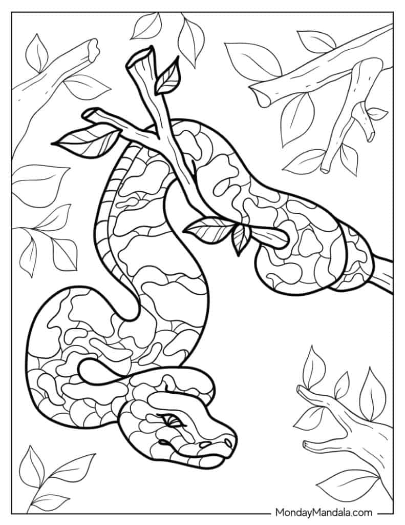 Snake coloring pages free pdf printables