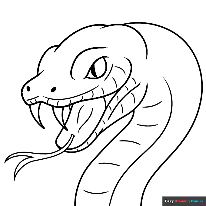 Snake face and head coloring page easy drawing guides