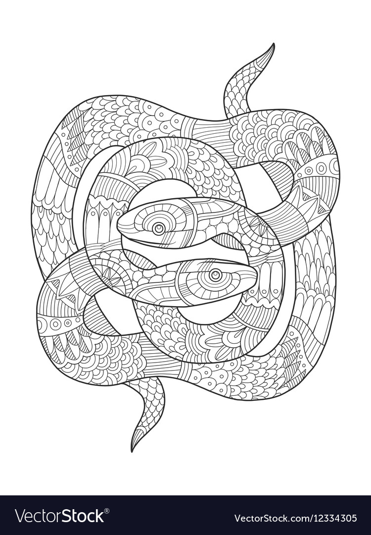 Snake coloring book for adults royalty free vector image