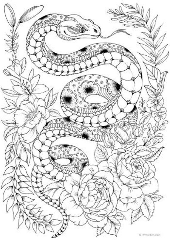 Snake printable adult coloring page from favoreads coloring book pages for adults and kids coloring sheets colouring designs